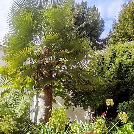 Avec Entree Privee Au Calme, Quartier Talensac Ναντ