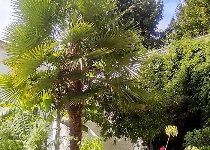 Avec Entrée Privée Au Calme, Quartier Talensac Nantes